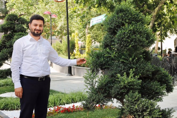 Kağıthane’de 2019 Nisan’ından Bugüne Kadar 23 Bin 800 Ağaç Dikimi Gerçekleştirildi