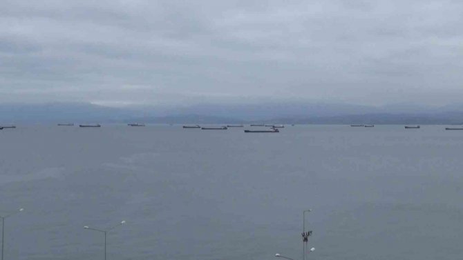 Sinop Limanına Sığındılar