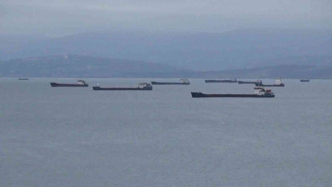 Sinop Limanına Sığındılar