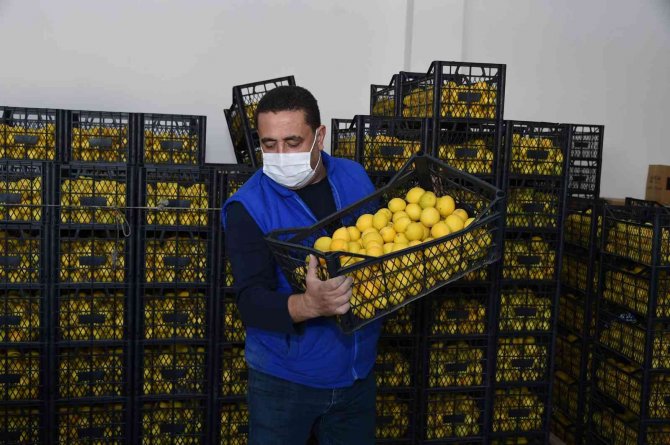 Tarsus’ta Vatandaşlara 7 Ton Limon Dağıtıldı