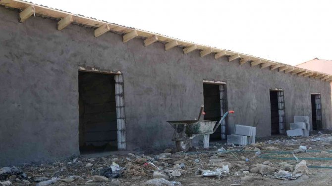 Muş’ta Sokak Hayvanları İçin Beslenme Alanları Ve Barınaklar İnşa Edildi