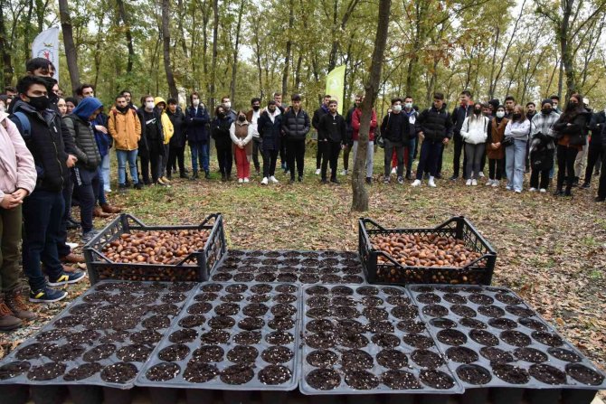 Omü Kurupelit Kampüsü’nde ’Meşe Palamutları’ Toprakla Buluştu