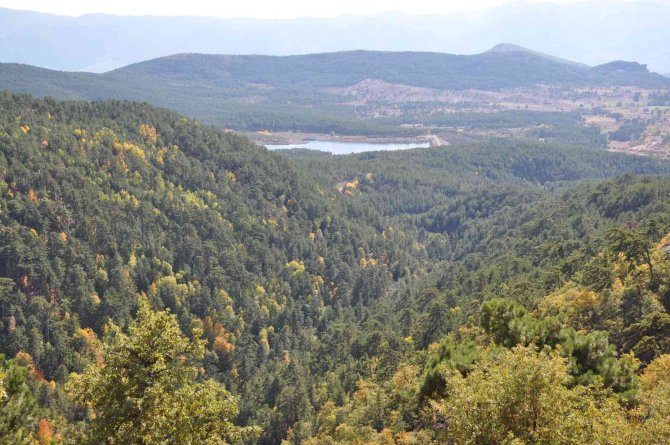 Akdağ Yaban Hayatı Geliştirme Sahası’nda Teknik İnceleme