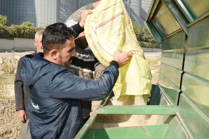 Tarsus Belediyesi, Yerli Buğday Ekimine Başladı