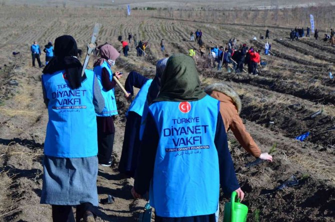 Türkiye Diyanet Vakfı 11 İlde 305 Bin 500 Fidanı Toprakla Buluşturdu