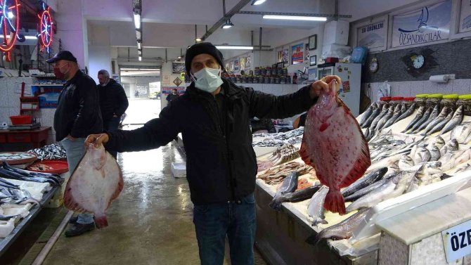 Karadeniz’in Kalkan Denizi Olması İçin 24 Yılda 100 Binin Üzerinde Kalkan Yavrusu Denize Bırakıldı Ama...