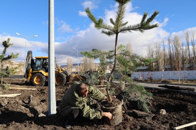 Ardahan’da Yeşillendirme Ve Ağaç Dikim Çalışması