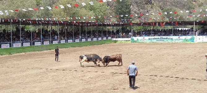 Sular Altında Kalacak Boğa Güreşleriyle Ünlü İlçeye Yeni Yerinde Yeni Arena Yapılacak