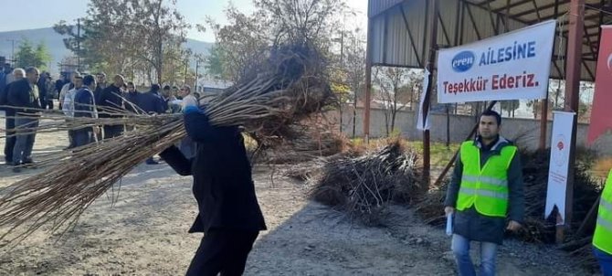 Güroymak’ta 22 Bin Meyve Fidanı Dağıtıldı