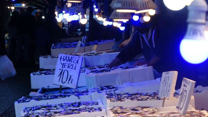 Hamsi Vatandaşın Da Balıkçının Da Yüzünü Güldürüyor