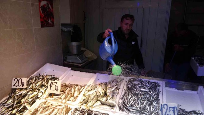 Hamsi Vatandaşın Da Balıkçının Da Yüzünü Güldürüyor