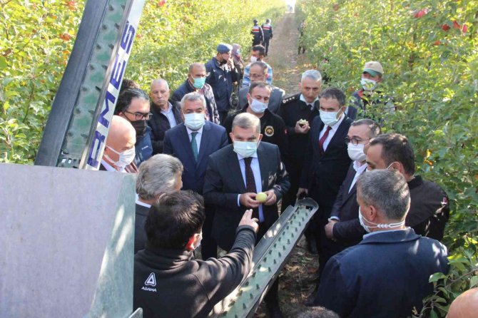 Türkiye’nin En Büyük Elma Bahçesinde Son Hasat Yapıldı