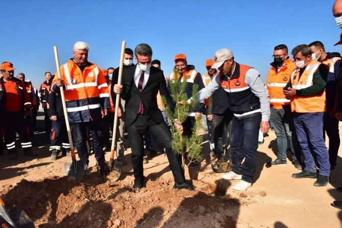 Malatya’da Karayollarına Ve Kavşaklara Fidan Dikildi