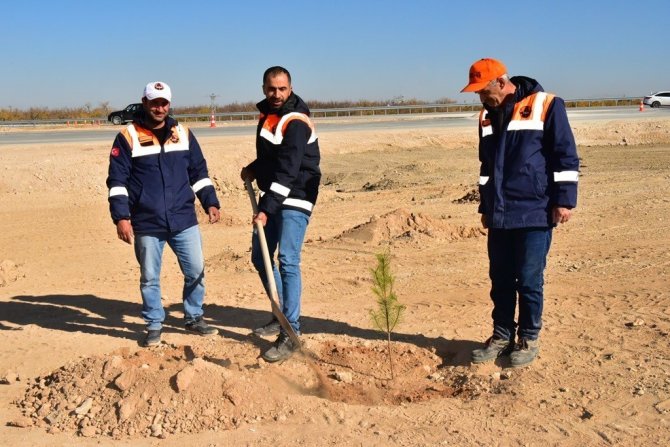 Malatya’da Karayollarına Ve Kavşaklara Fidan Dikildi