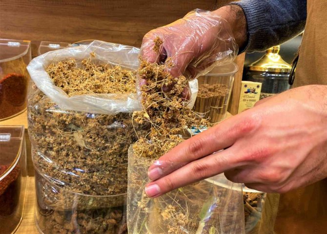 Kışın Vazgeçilmezi Ihlamur Altınla Yarışıyor