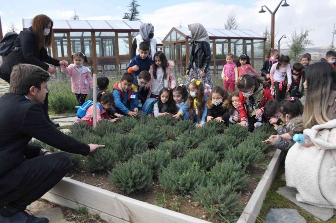 Pursaklar Endemik Vadisi’ne Miniklerden Ziyaret