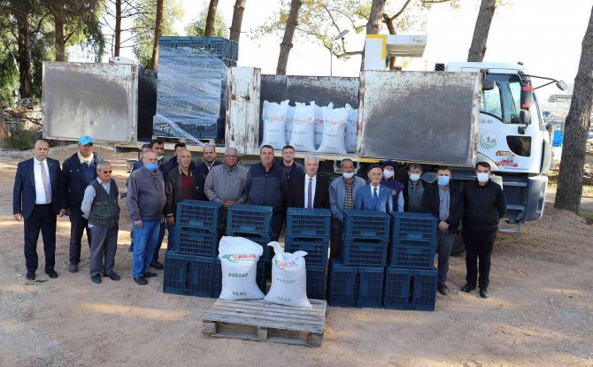 Saruhanlı Belediyesinden Çiftçilere Buğday Tohumu Ve Kasa Desteği