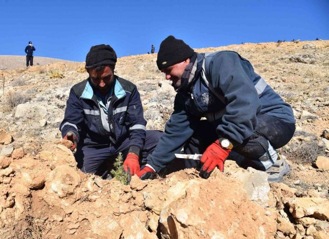 Selçuklu’da Doğaya 17 Bin Yeni Fidan Kazandırıldı