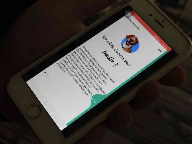 Meslek Lisesi Öğrencileri Sokak Hayvanları İçin Proje Üretti