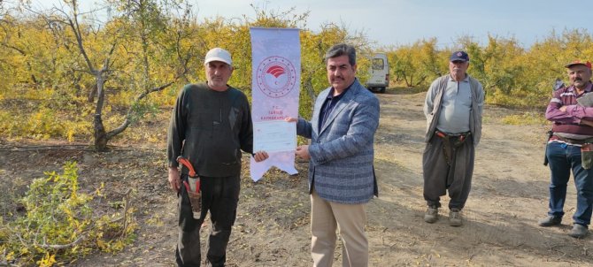 Budama Kursunu Bitiren 30 Üreticiye Sertifika Verildi