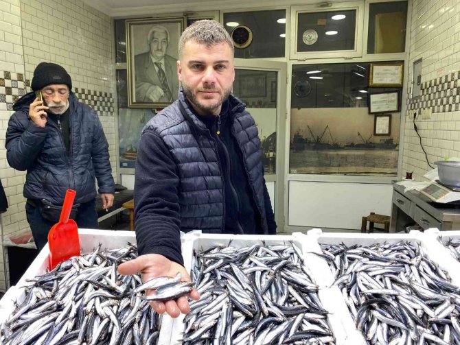 Balık Halinde Çinakopun Fiyatı 50 Liraya Çıktı