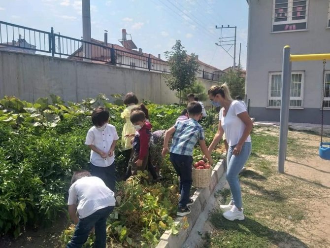 Altıntaş’ta ’’Yerli Tohum Tarım Atölyesi’’ Projesi
