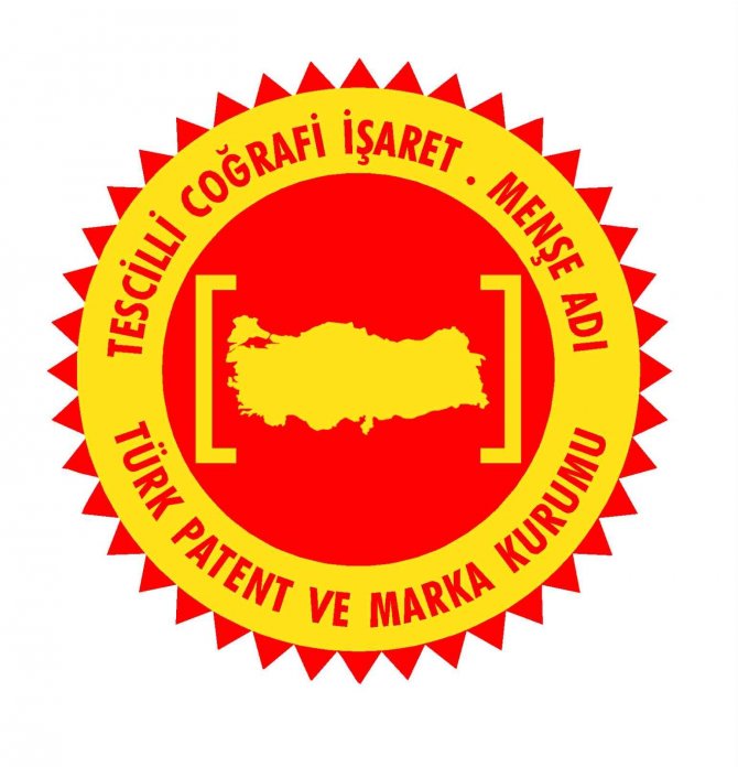 Aydın Memecik Zeytini, Avrupa’da Tescillenecek