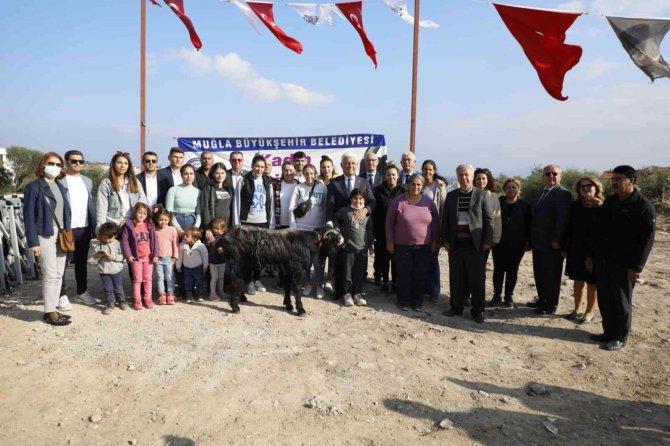 Kadın Üreticilere Kıl Keçisi Dağıtımı Sürüyor