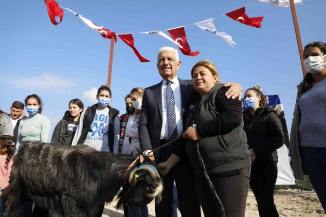 Kadın Üreticilere Kıl Keçisi Dağıtımı Sürüyor