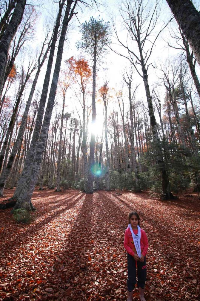 Kazdağları Her Mevsim Fotoğraf Severlerin İlgisini Çekiyor