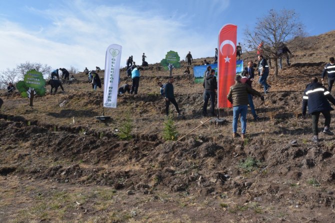 Çorum’da 10 Bin Fidan Toprakla Buluştu