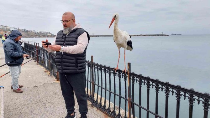 O Leylek Meşhur Oldu, Gören Cep Telefonuna Sarılıyor