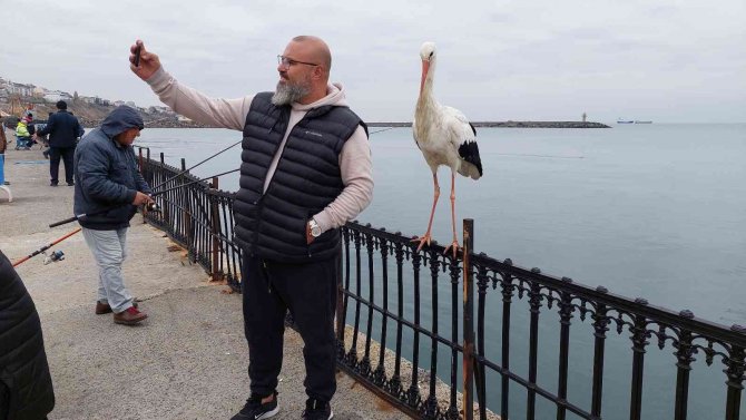 O Leylek Meşhur Oldu, Gören Cep Telefonuna Sarılıyor