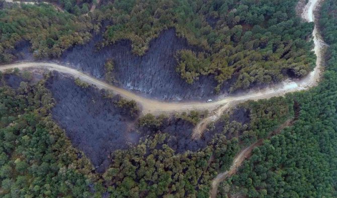 İ̇vrindi’de 57 Fidan Toprakla Buluştu