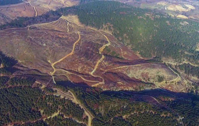 İ̇vrindi’de 57 Fidan Toprakla Buluştu