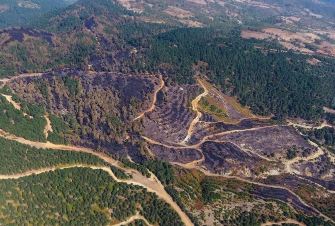 İ̇vrindi’de 57 Fidan Toprakla Buluştu