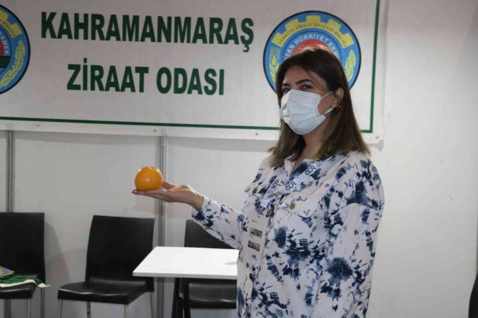 Kahramanmaraş Tarım Gıda Ve Hayvancılık Fuarı Açıldı