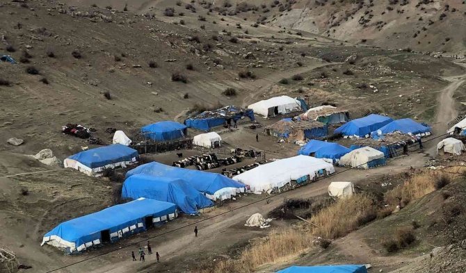 Siirt’te Tiftik Keçisi Koruma Altına Alındı