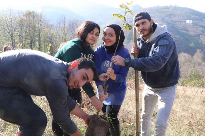 Omü’lü Öğrenciler Fındık Fidanlarını Toprakla Buluşturdu