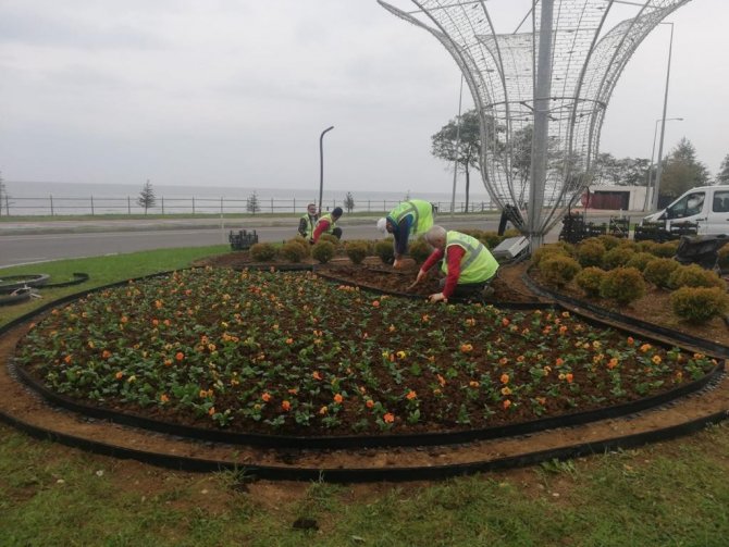 Ordu’da Mevsimlik Çiçekler Toprakla Buluşuyor