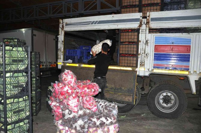 Türkiye’nin Kışlık Sebzesi Bafra’dan