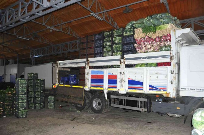 Türkiye’nin Kışlık Sebzesi Bafra’dan