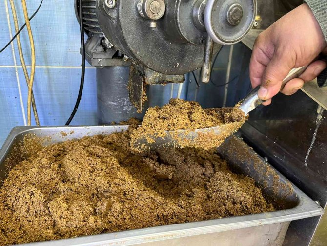 Haşhaş Kışa Yoğun Talep Altında Giriş Yaptı