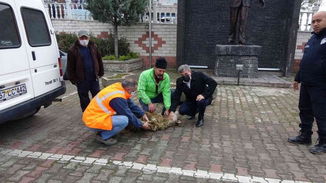 Kandilli’de Yeni Araçlar Hizmete Girdi