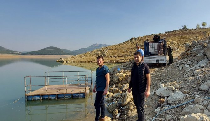 Kuruyan Deredeki Yavru Balıklar Kurtarıldı