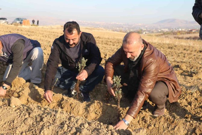 Elazığ’da 24 Bin Adet Lavanta Toprakla Buluştu