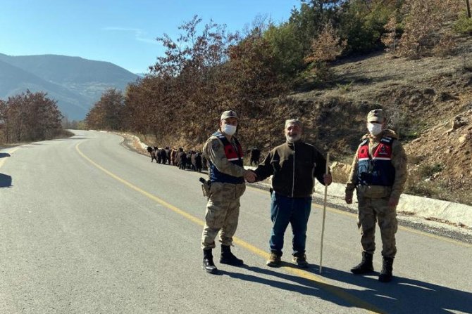 Jandarma Kaybolan Keçileri Dronla Buldu