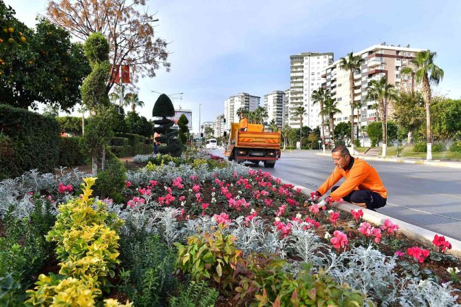 Mersin’de Cadde Ve Refüjler Mevsimlik Bitkilerle Bezeniyor