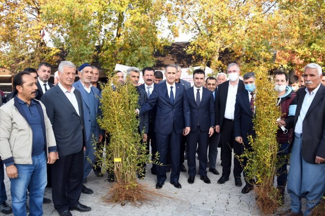 Adıyaman’da Çiftçilere Nar Fidanı Dağıtıldı