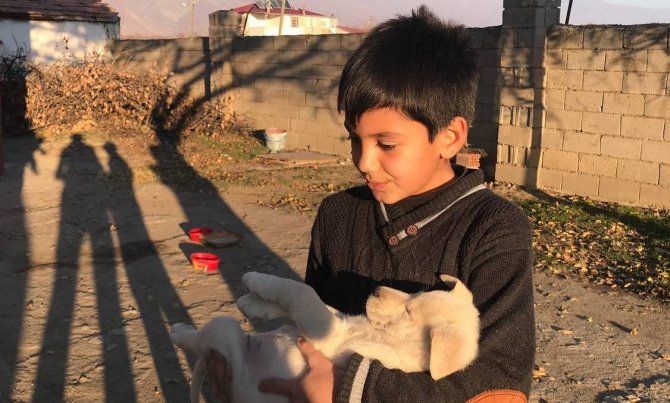 Ölmek Üzereyken Bir Çocuk Tarafından Bulunan İki Yavru Köpek, Özdemir Ailesinin Neşe Kaynağı Oldu